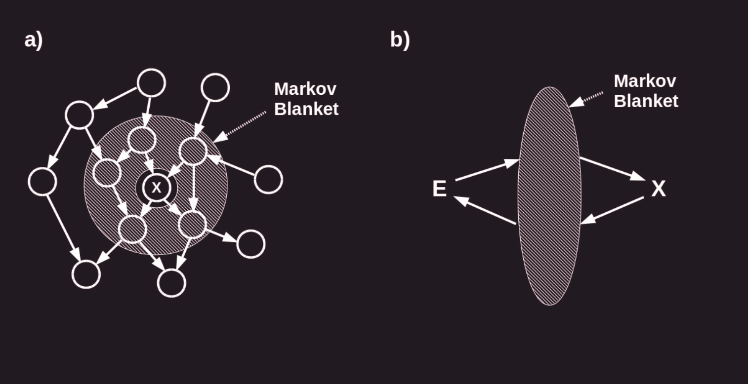 diagrams-fields-markov-blanket.png