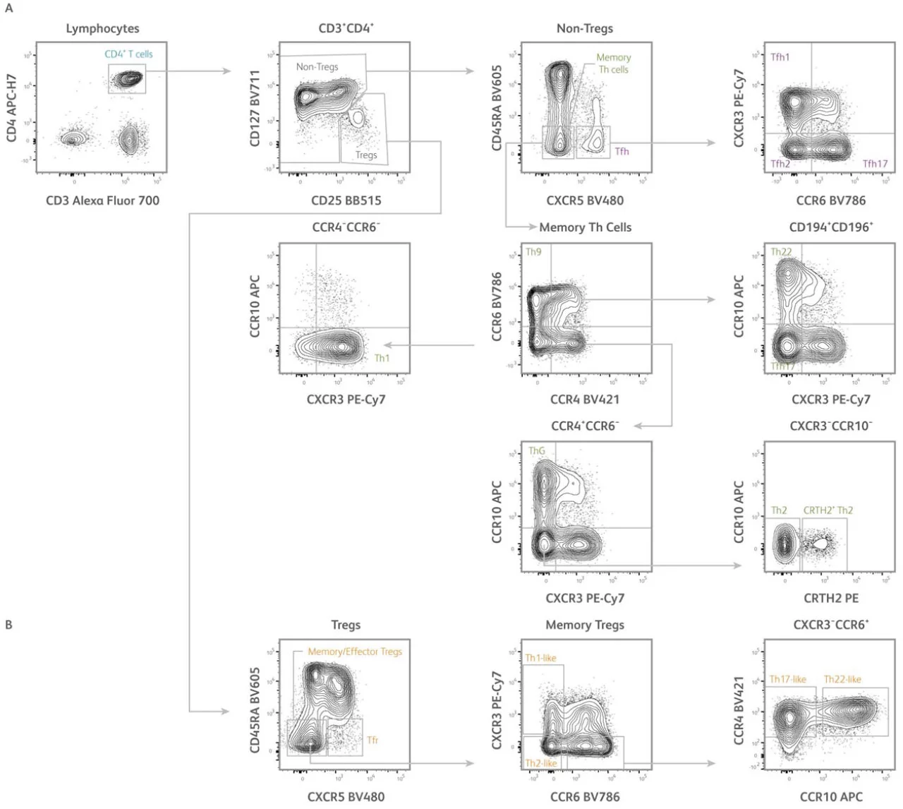 Pasted image 20250905142756.png
